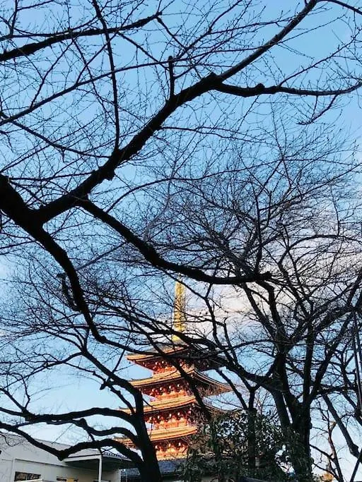 浅草寺3分 浅草駅6分 開放畳寝室 2-6人 スカイツリービュー 駅近 成田空港直通&羽田空港直通 Japan
